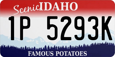 ID license plate 1P5293K