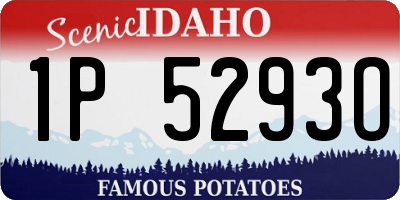 ID license plate 1P5293O