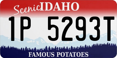 ID license plate 1P5293T