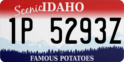 ID license plate 1P5293Z