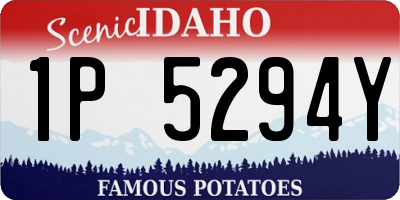ID license plate 1P5294Y