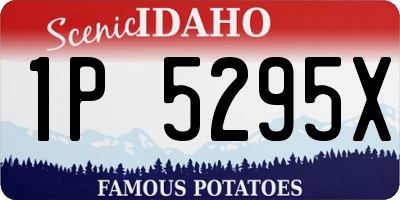 ID license plate 1P5295X