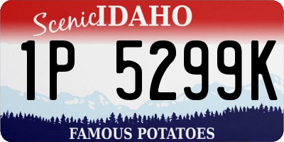 ID license plate 1P5299K