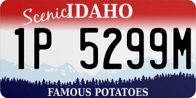 ID license plate 1P5299M
