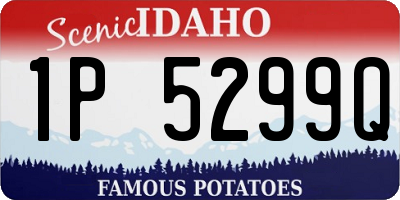 ID license plate 1P5299Q