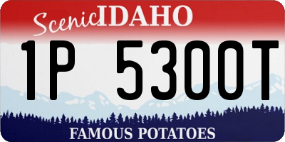 ID license plate 1P5300T