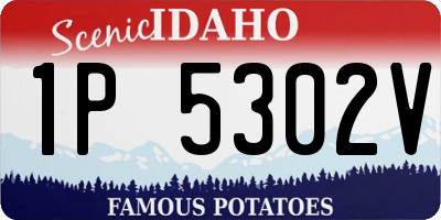 ID license plate 1P5302V