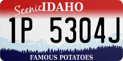 ID license plate 1P5304J