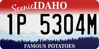 ID license plate 1P5304M