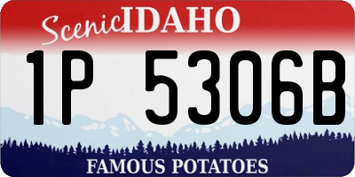 ID license plate 1P5306B