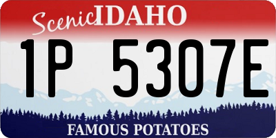 ID license plate 1P5307E