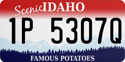 ID license plate 1P5307Q