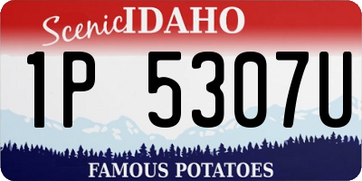 ID license plate 1P5307U