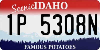 ID license plate 1P5308N