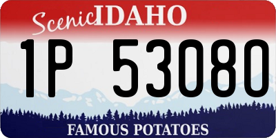 ID license plate 1P5308O