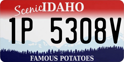 ID license plate 1P5308V