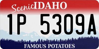 ID license plate 1P5309A