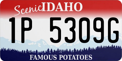 ID license plate 1P5309G