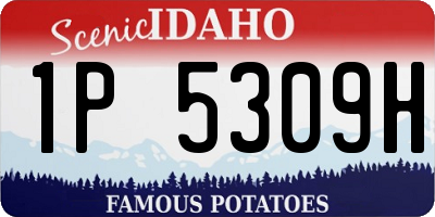 ID license plate 1P5309H