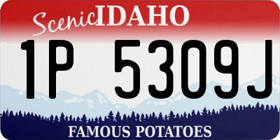 ID license plate 1P5309J