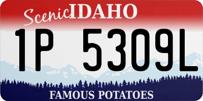 ID license plate 1P5309L