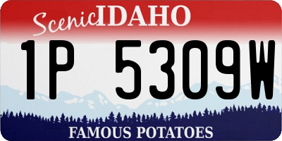 ID license plate 1P5309W