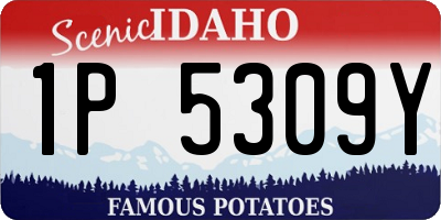 ID license plate 1P5309Y