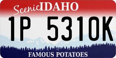 ID license plate 1P5310K