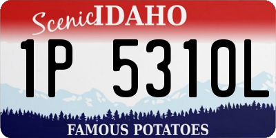 ID license plate 1P5310L