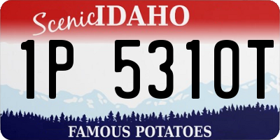 ID license plate 1P5310T
