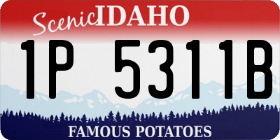 ID license plate 1P5311B
