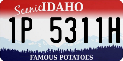 ID license plate 1P5311H