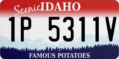 ID license plate 1P5311V