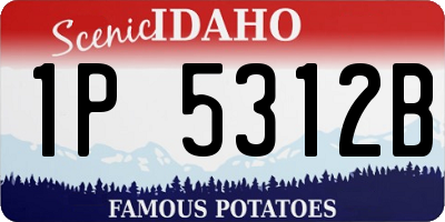 ID license plate 1P5312B