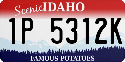 ID license plate 1P5312K
