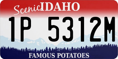 ID license plate 1P5312M