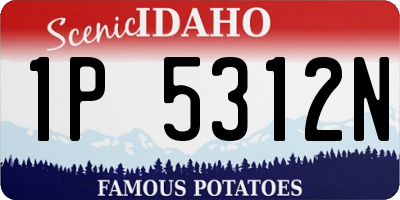 ID license plate 1P5312N
