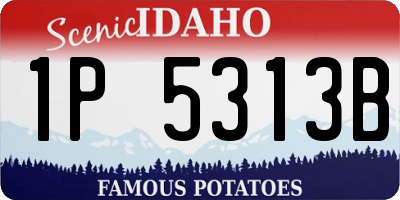 ID license plate 1P5313B