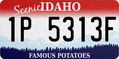 ID license plate 1P5313F