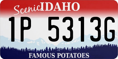 ID license plate 1P5313G