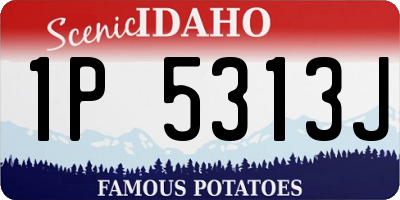 ID license plate 1P5313J