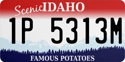 ID license plate 1P5313M