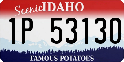 ID license plate 1P5313O
