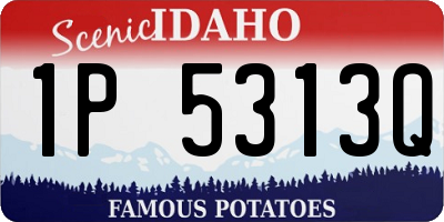 ID license plate 1P5313Q