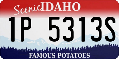 ID license plate 1P5313S