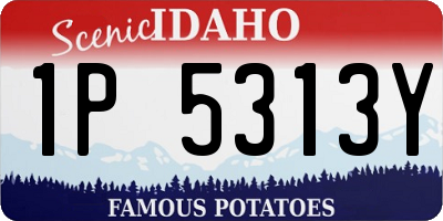 ID license plate 1P5313Y