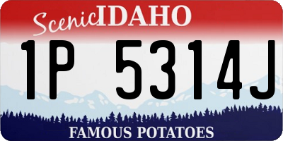 ID license plate 1P5314J