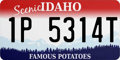 ID license plate 1P5314T