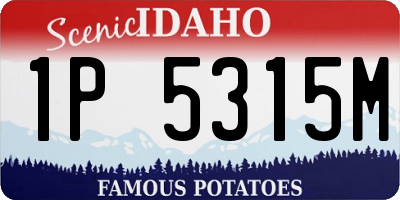 ID license plate 1P5315M