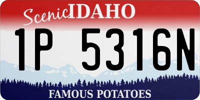 ID license plate 1P5316N